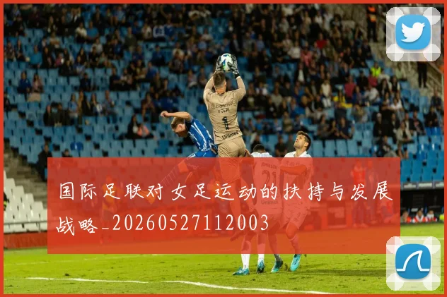 国际足联对女足运动的扶持与发展战略_20260527112003
